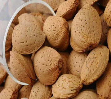 تصویر 4 از بادام درختی تازه درشت با پوست ارسال عمده